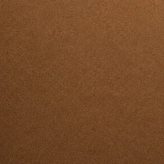 Bronze Hercules Beetle coating color