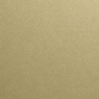 Light Gold Murder Hornet coating color