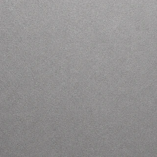 Silver Rhino Hide coating color